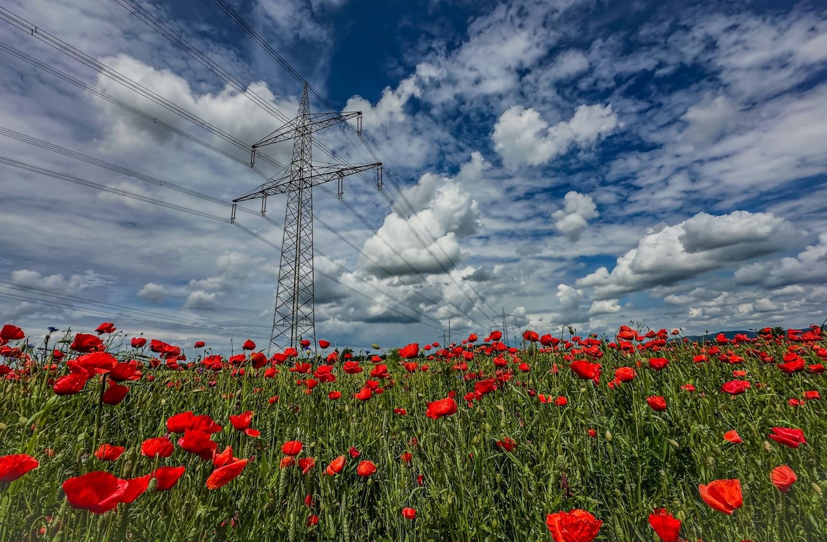 odszkodowanie, rekompensata, działka
