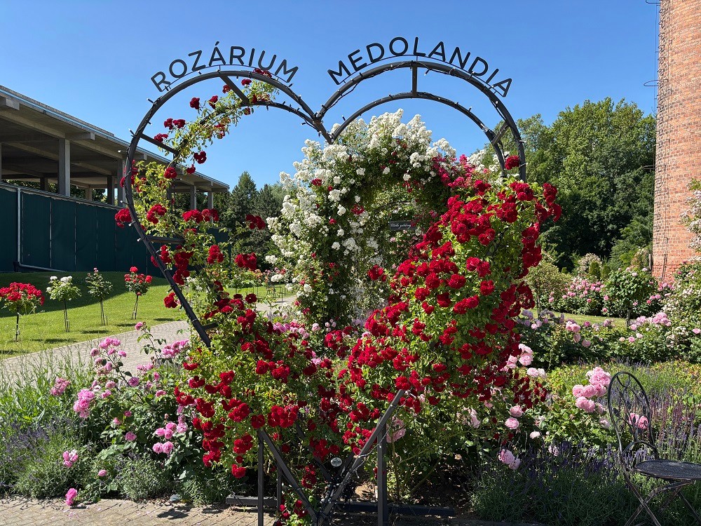 Medolandia.