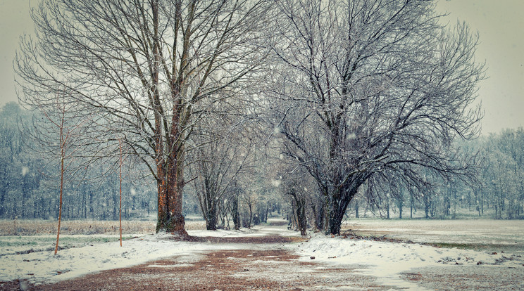 A nagy havazás nem szokatlan Németországban, ám a piros hó annál inkább /Fotó: Northfoto