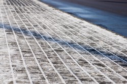 Rzucił łupinę słonecznika na chodnik. Stanął przed sądem [WIDEO]