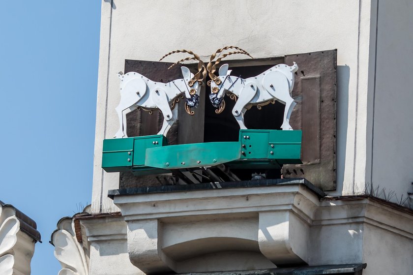 Poznańskie koziołki w maseczkach