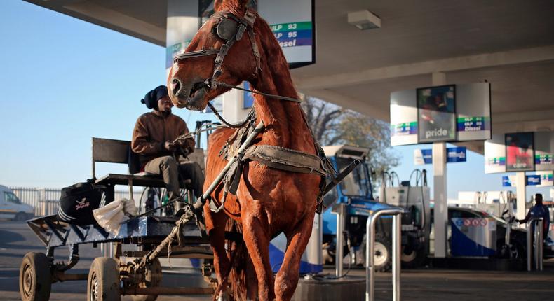 man leaves a fuel station after checking the tire pressure on his horse cart in Soweto, Johannesburg, South Africa.