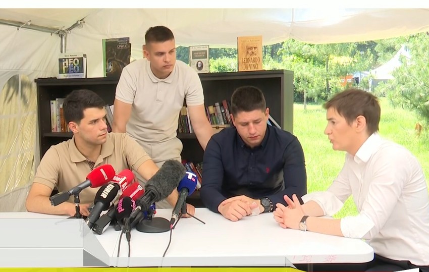 Ana Brnabić, Pionirski park