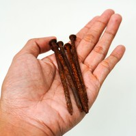 Egy rozsdás szöggel megsértettem magam, azóta furcsa tüneteket érzek - lehet tetanusz? Az orvos válaszol