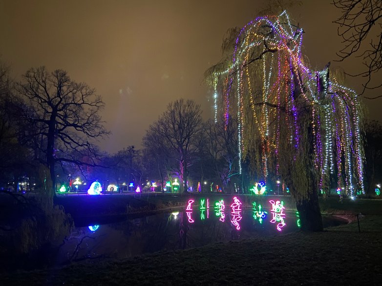 Iluminacje świetlne w Parku Źródliska