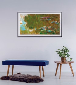 Telewizor z cyfrowym obrazem osiągnął zawrotną sumę. Nietypowa aukcja z Samsungiem w roli głównej