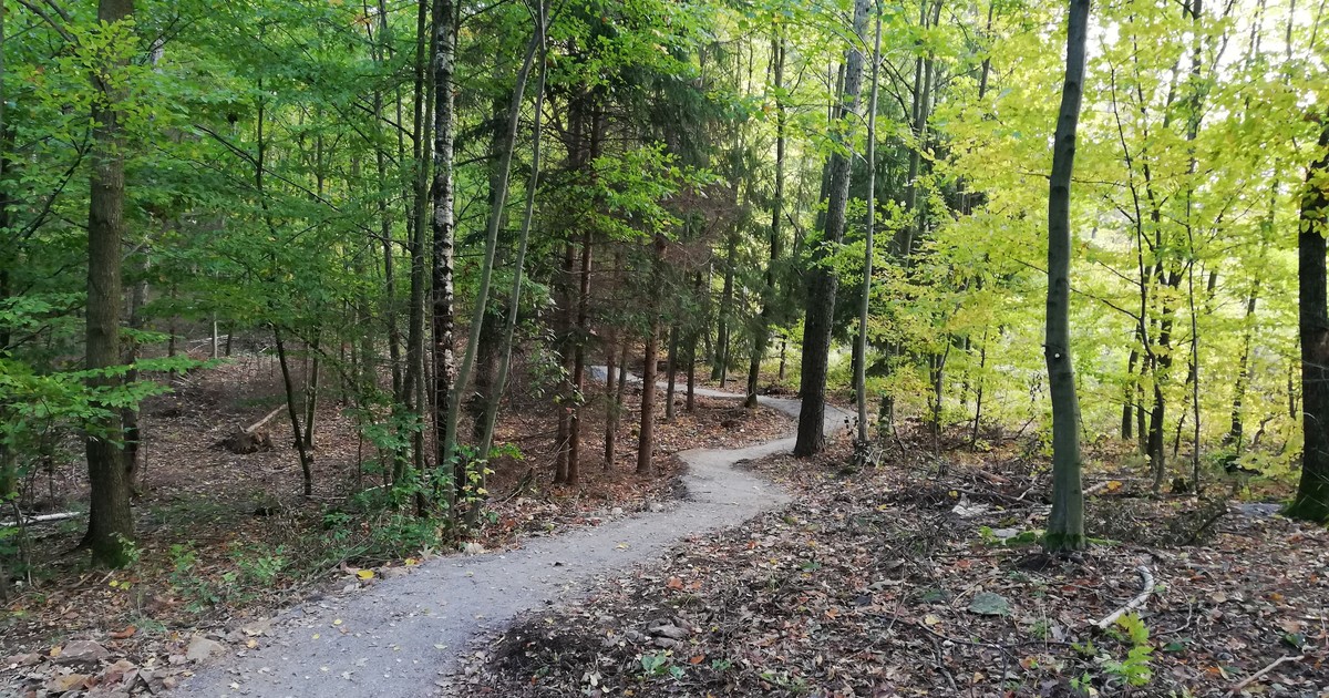 Gmina Strzelin rowerowym Eldorado