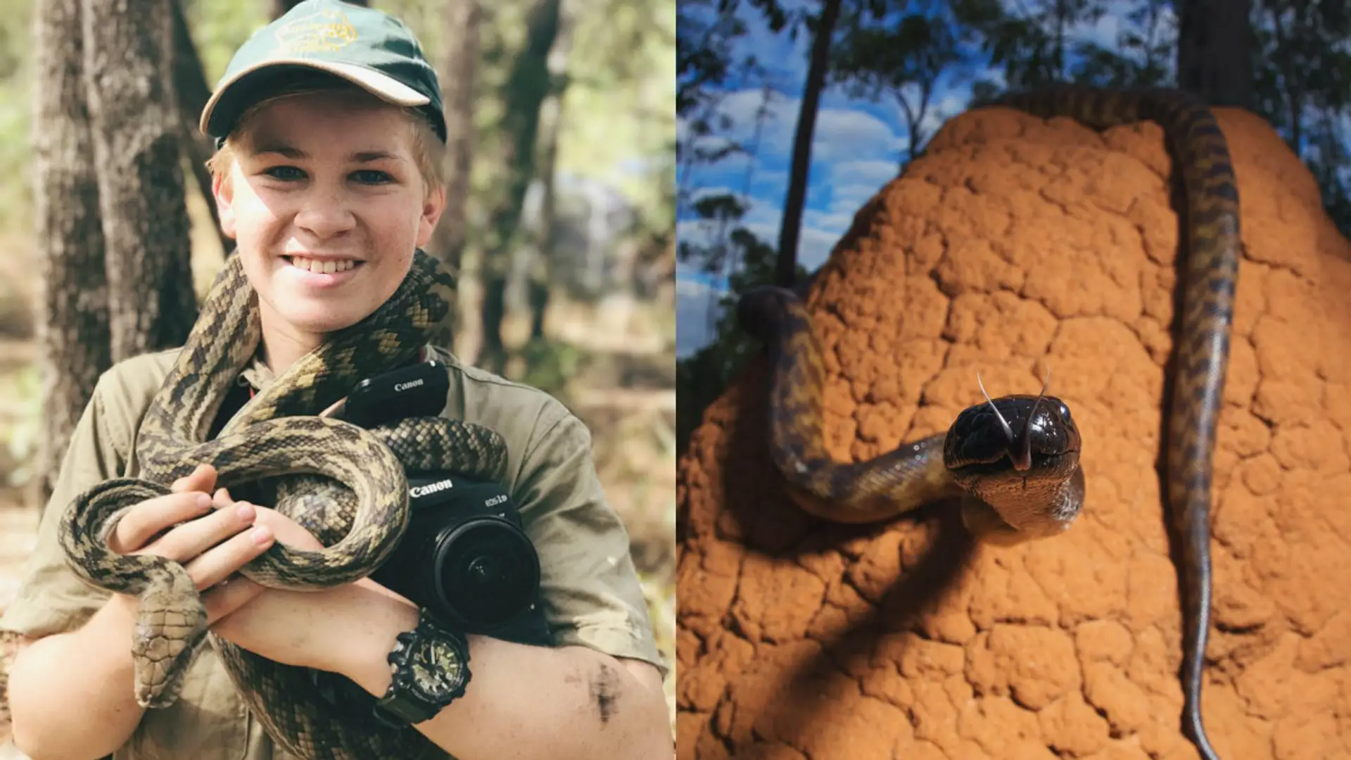 Syn Steve'a Irwina zdobywa kolejne trofea fotograficzne. Nie mamy najmniejszych wątpliwości, dlaczego