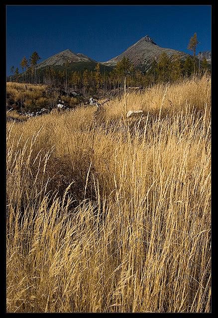 Galeria Słowacja - Tatry, obrazek 32