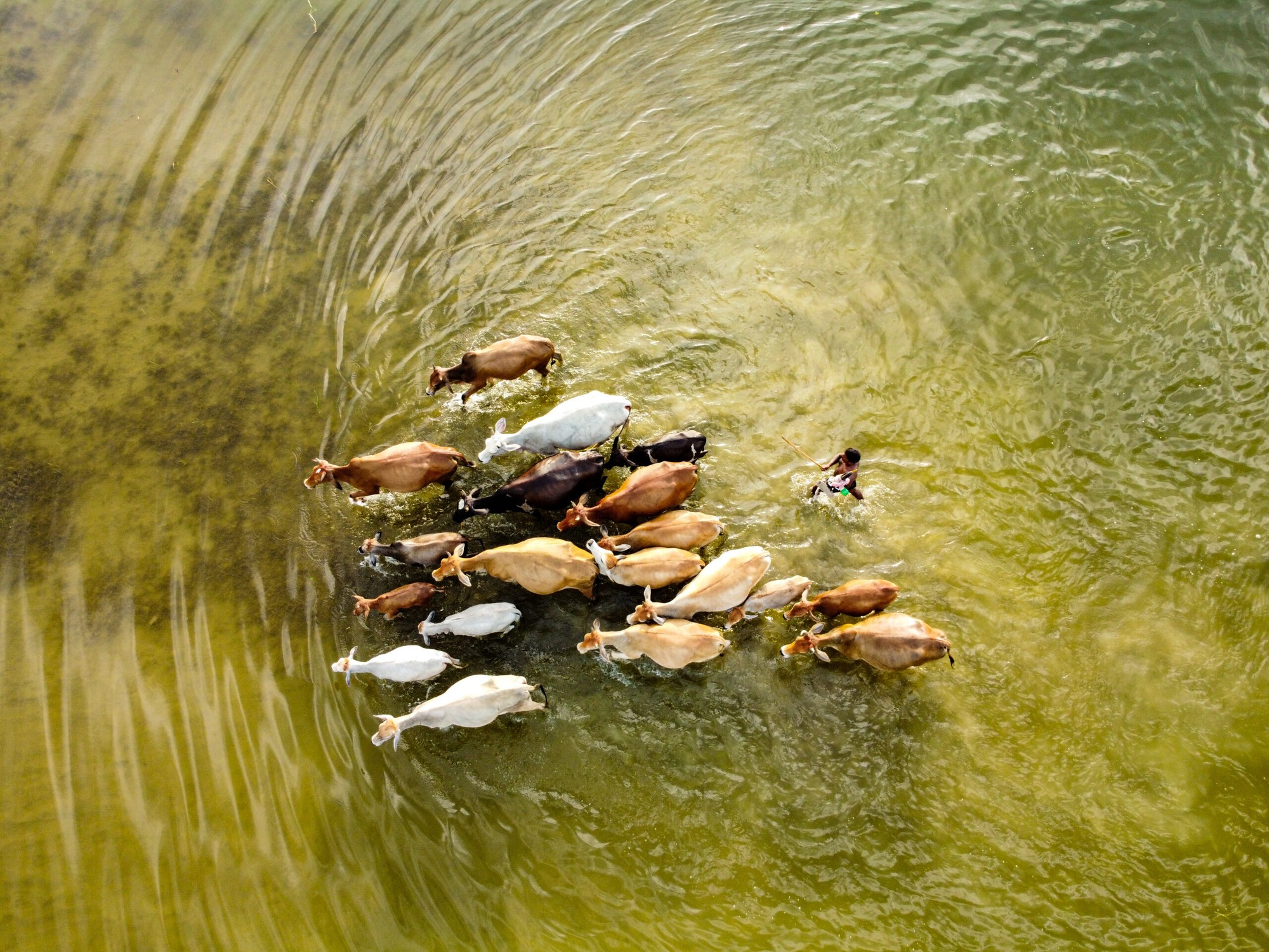 Flood Affected Area od fotografa Solaymana Hossaina, ktorá zvíťazila v kategórii Nikon's Young Environmental Photographer of the Year.