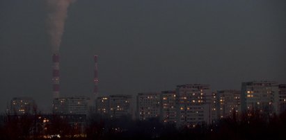 Dokucza ci smog? Możesz pozwać państwo!