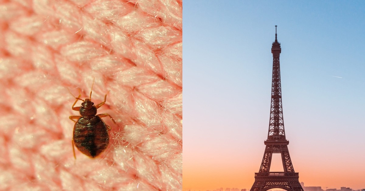 What bedbug bites look like and how to avoid them while traveling, as