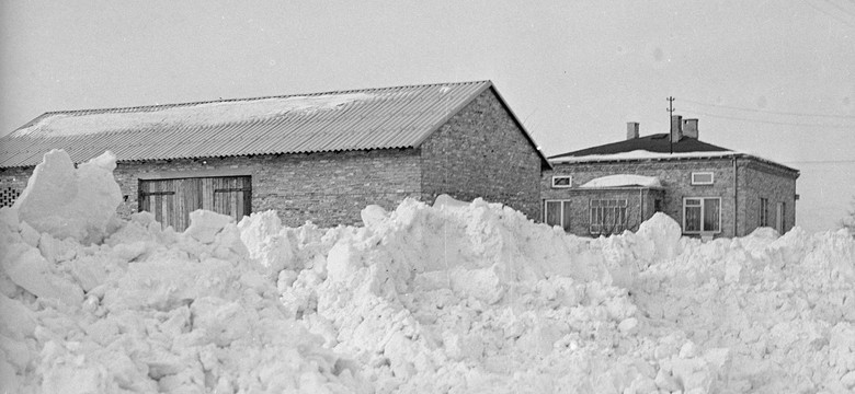 Długotrwałe mrozy, intensywne śnieżyce - to realne zagrożenie. Niebezpieczny układ pogodowy może sparaliżować cały kraj