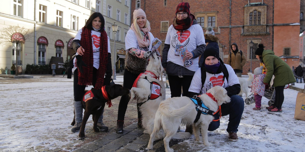 Ekipa Golden Retriever WOŚP Wrocław nie zawiodła