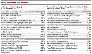 Fundusze akcji straciły 6,5 proc.