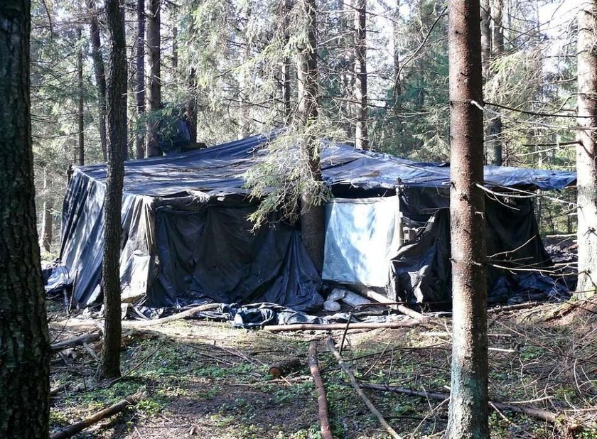 Policjanci zlikwidowali gigantyczną fabrykę wódki w lesie!