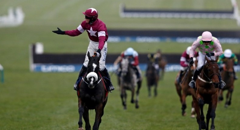 William Mullins trained Djakadam (R) has been runner-up twice in the Cheltenham Gold Cup