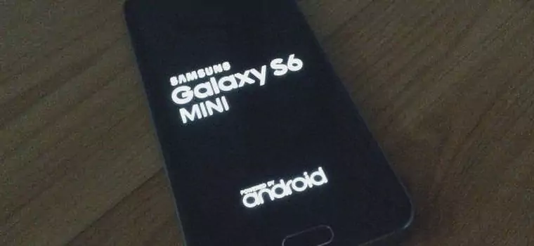 Samsung Galaxy S6 Mini pozuje na zdjęciach. Premiera na dniach?