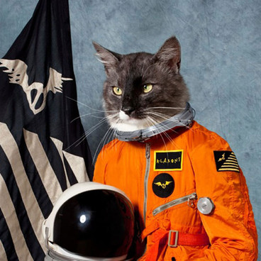 Okładka albumu Klaxons "Surfing The Void"