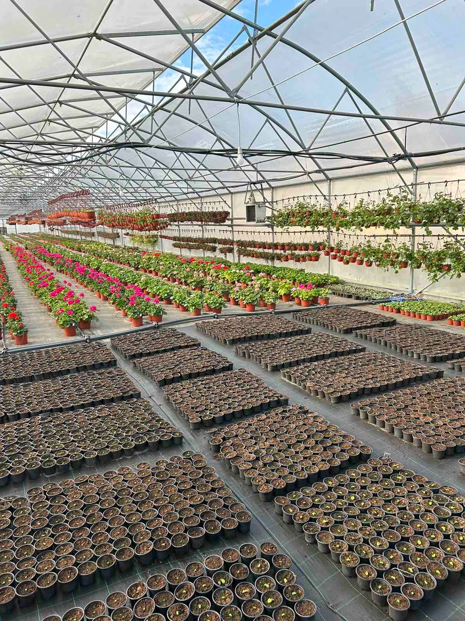 Štićenici Vaspitno-popravnog doma povodom Dana žena poklanjali saksijsko cveće koje sami uzgajaju