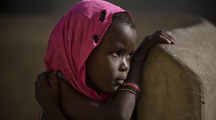Egy anyára 7 gyerek jut Chadban/Fotó: Northfoto
