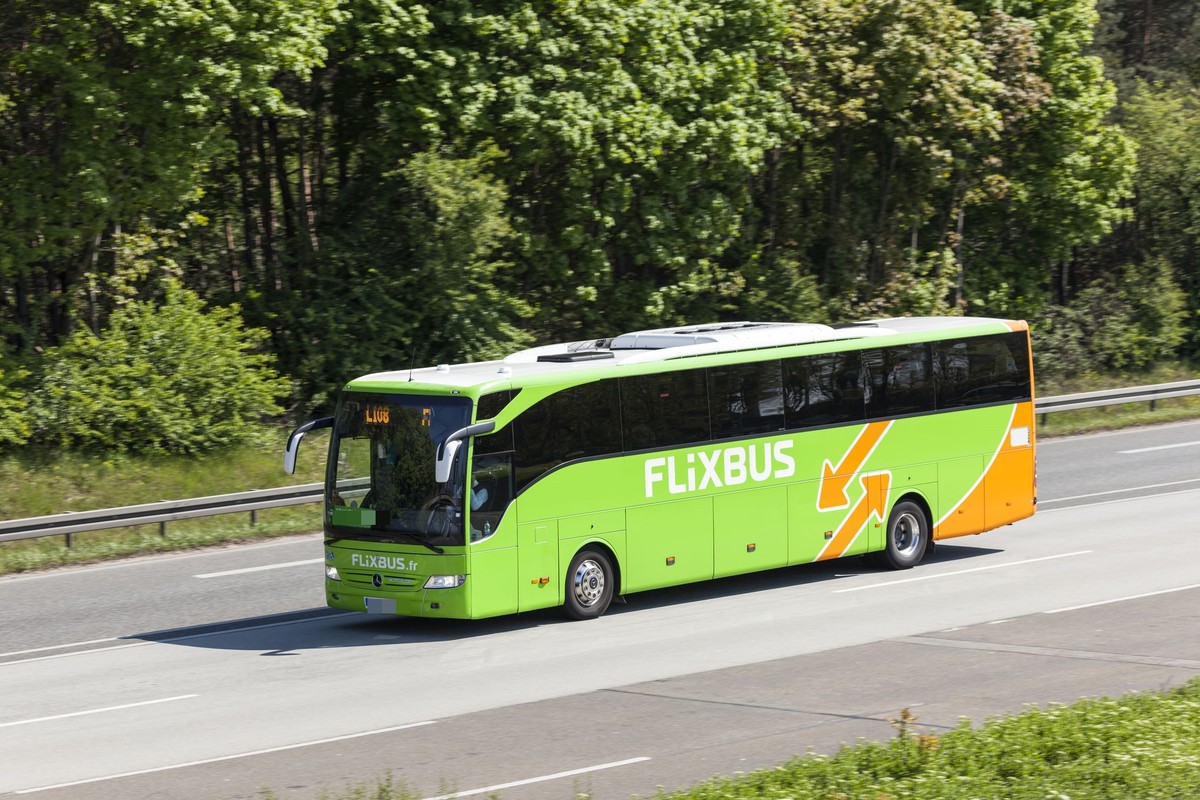Autobus z Warszawy runął do rowu w środku nocy. Polacy wśród poszkodowanych