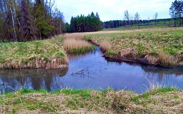 Lasy Murckowskie, w których w 1953 r. utworzono rezerwat chroniący fragment lasu mieszanego o cechach naturalnych