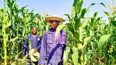 'Northern Nigeria has potential to feed the nation, be a global force within a short time'  – Don