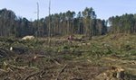 Bruksela interweniuje ws. Mierzei Wiślanej. Chce pilnego spotkania