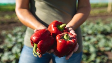 Niektórzy rolnicy zapłacą podatek od samozbiorów. Zaskakująca odpowiedź Ministerstwa Finansów