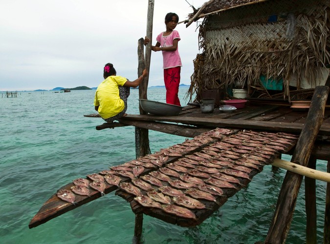 Dziewczęta Bajau pilnują suszących się ryb