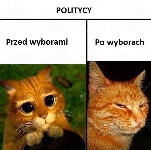 mem / Satyra polityczna