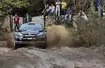 Rally Argentina 2014 - fot. Willy Weyens