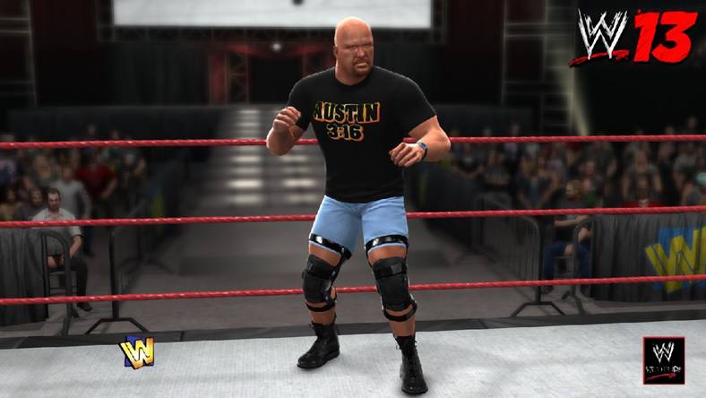 WWE 13 - galeria