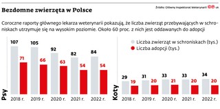 Bezdomne zwierzęta w Polsce