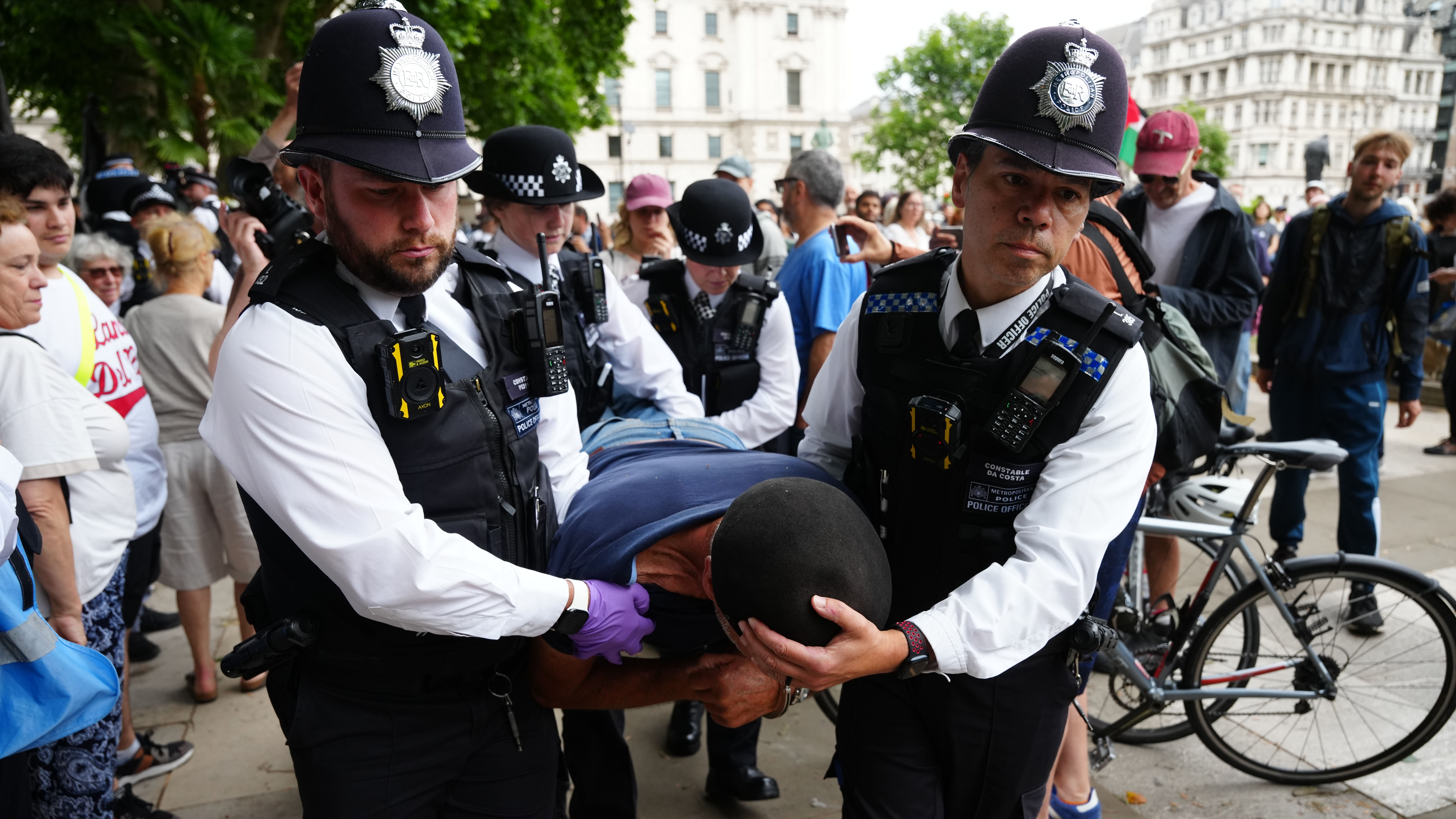 Palestine Action arrests: Police detain protesters in London