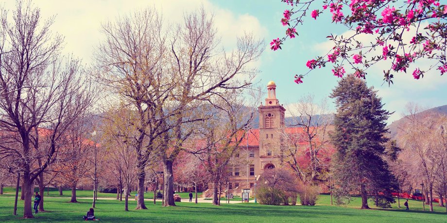 Colorado School of Mines (out-of-state): Engineering