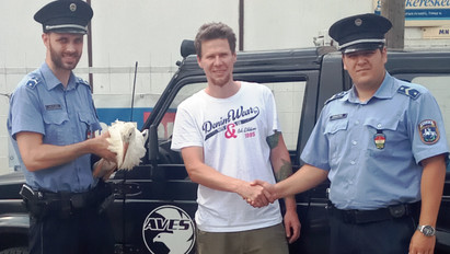 Hősies tett: rendőrök mentettek meg egy gólyafiókát Hajdúszoboszlón