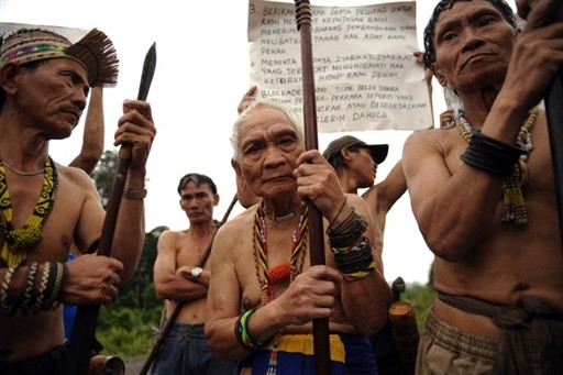 MALAYSIA - PENAN - NOMADS - ENVIRONMENT