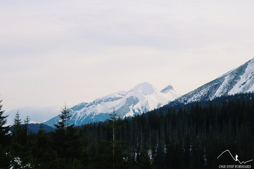 Widok na Tatry Bielskie