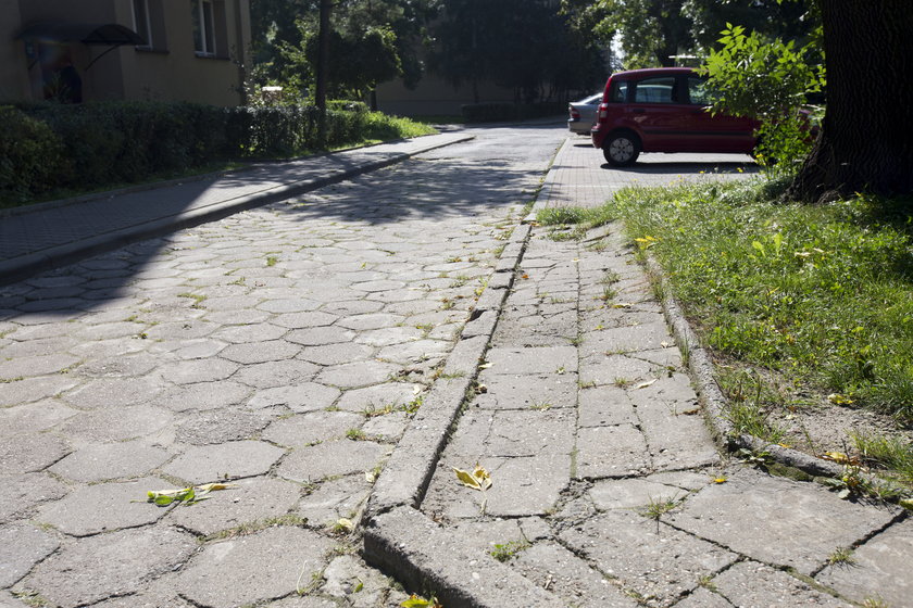 Budżet obywatelski w Katowicach