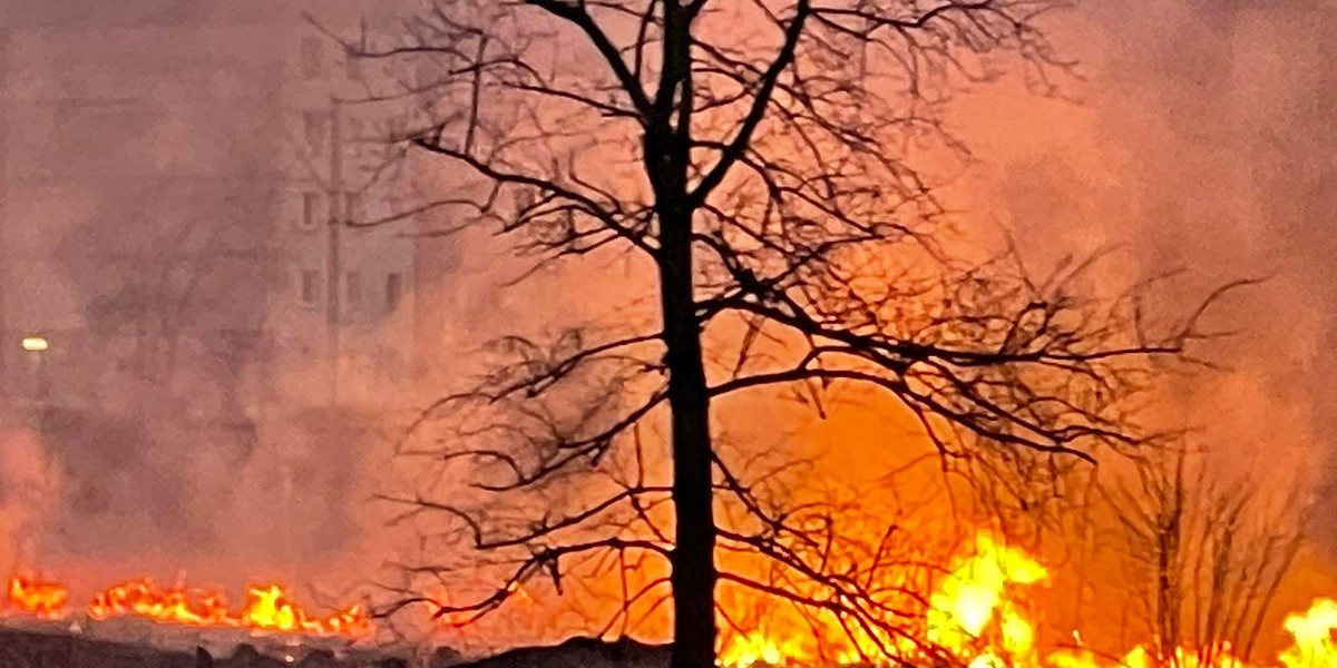 Pożar nieużytków przy ul. Brzozowickiej w Będzinie. 