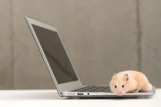 Precedensowy wyrok: Powielanie pirackich plików przez kolejne osoby nie wpływa automatycznie na zwiększanie się szkody uprawnionego