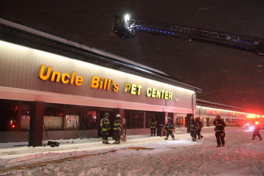 Pożar w sklepie zoologicznym. Ogień zabił około 100 zwierząt
