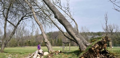 Huraganowy wiatr sieje spustoszenie w Tatrach i na Podhalu. Służby w całym regionie postawione na nogi