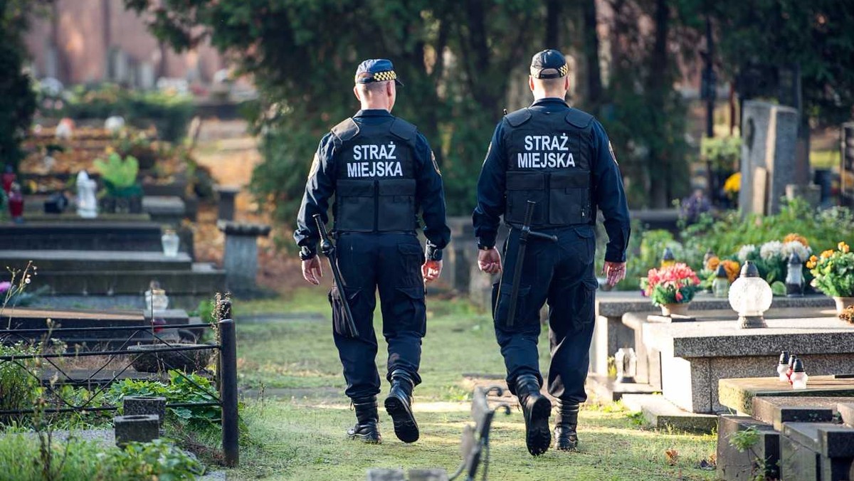 Wrocławska straż miejska poszukuje ok. 70 nowych pracowników, w tym jednego kandydata do patrolu konnego. Nowo przyjęte osoby już na starcie zarobią więcej, niż dotychczas oferowano strażnikom. Od stycznia płaca podstawowa wzrosła o prawie 500 zł, do 2800 zł brutto.