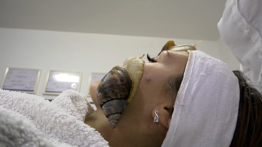 Tretman lica puzevima