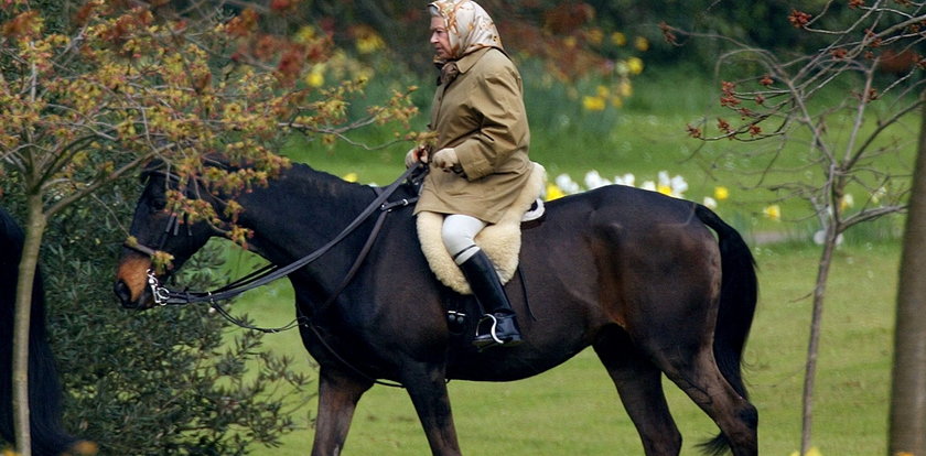 Odeszła Elżbieta II, wielka fanka całego sportu. Kochała wyścigi konne oraz... gołębi!