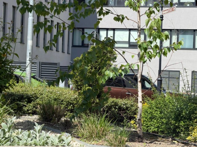 Anđela Đuričić (Foto: Ringier/Dušan Lukić)