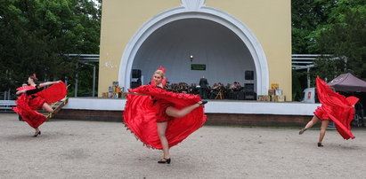 Poznaniacy bawili się na pikniku w parku Wilsona